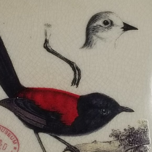 British Museum Ceramic Bird Candy Nut Mint Dish Jewelry Trinket Square Soap Tray - Picture 2 of 7